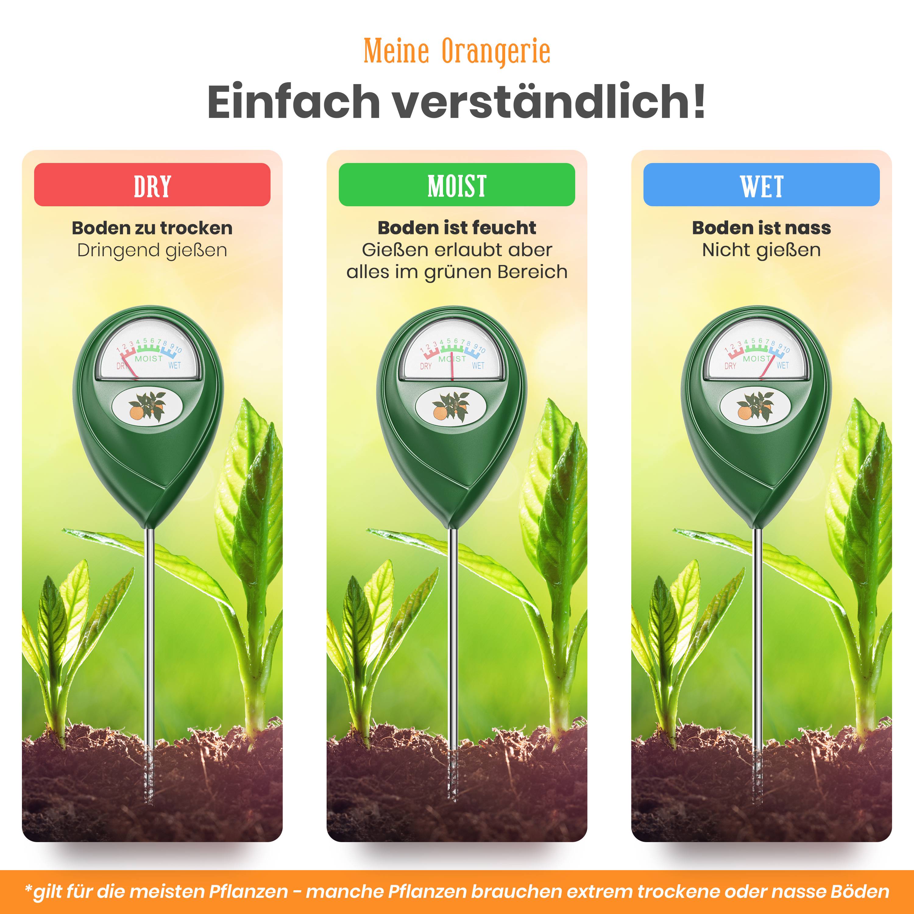Feuchtigkeitsmesser für Pflanzen sichern